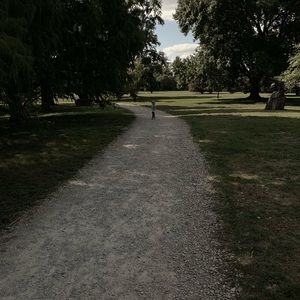 Meet your Posher, Misty